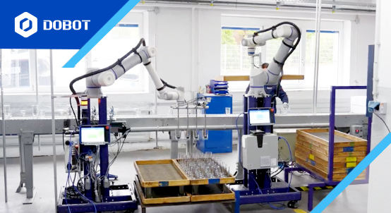 Enabling Glass Decoration Automation with DOBOT Cobots