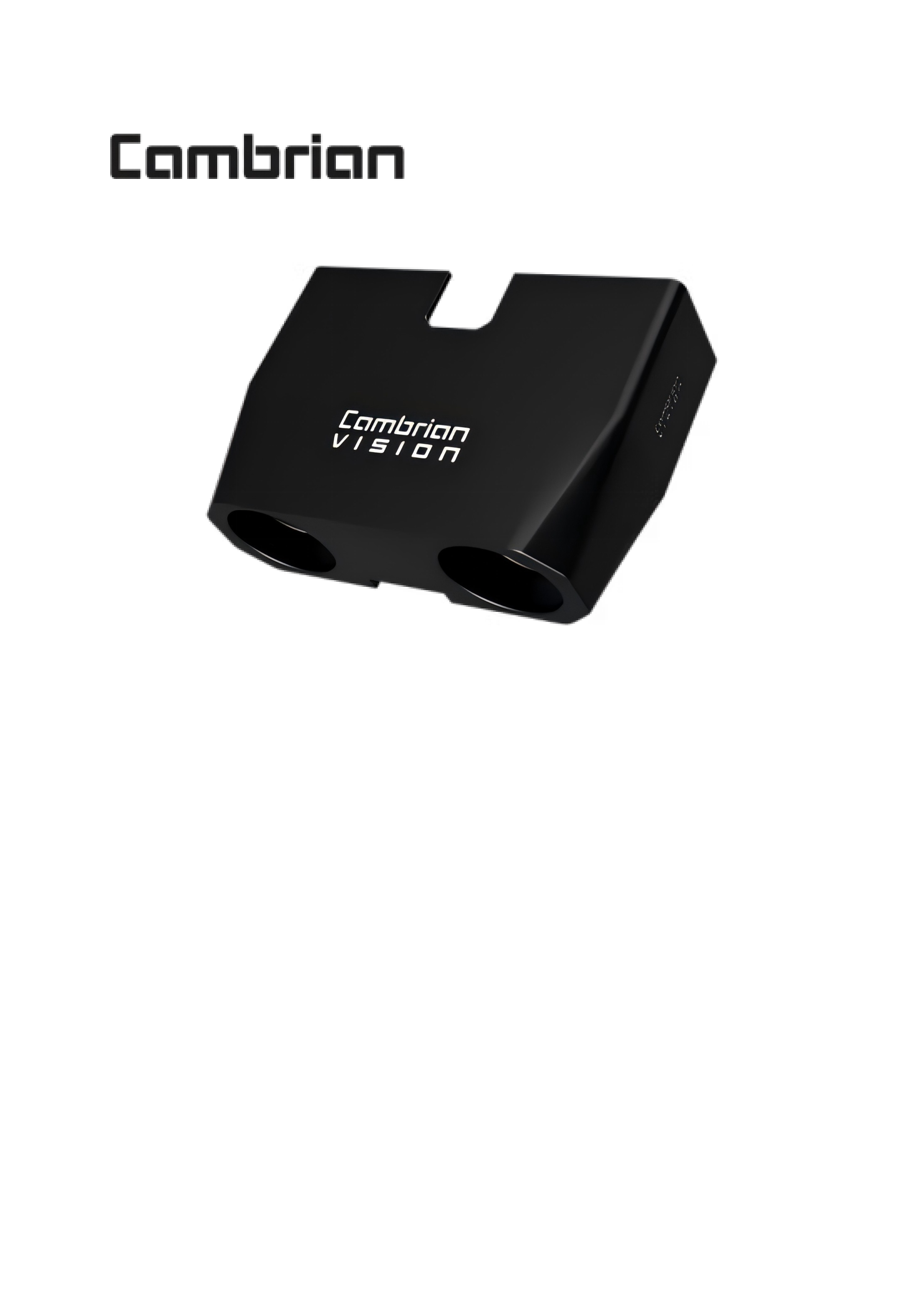 Cambrian Vision System