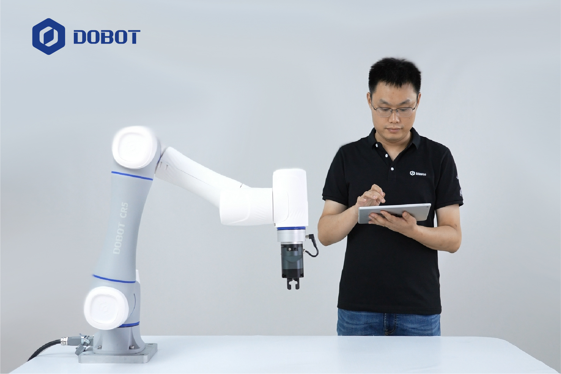 Constant Labour Growth with Cobots