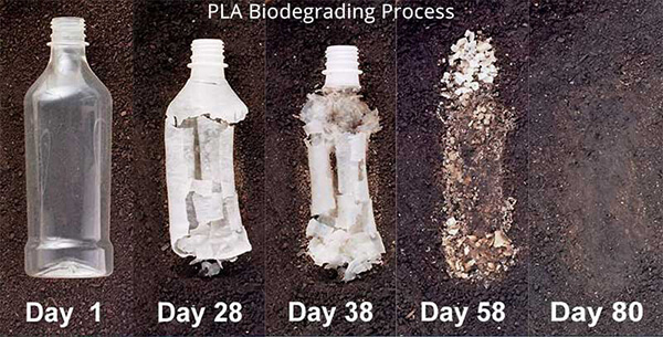 3D printing PLA biodegradable